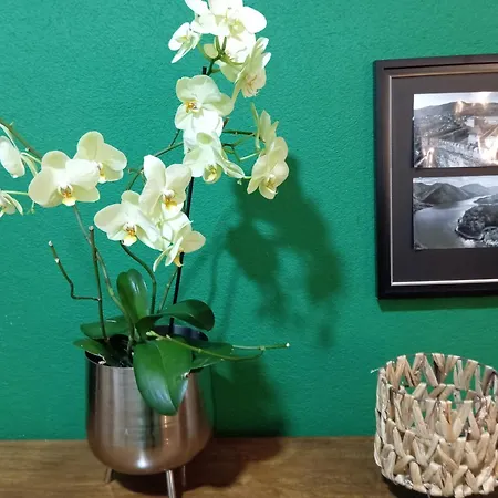 Appartement The Orchid